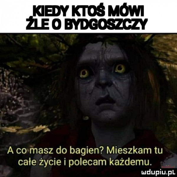 a co masz do bagien mieszkam tu całe życie i polecam każdemu