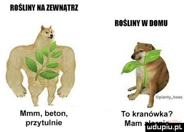 iiiśliiiy ibl iewiia i ri biiśliiiv w nim j xx    x u mmm mm m beton to kranówka przytulnie mam ma