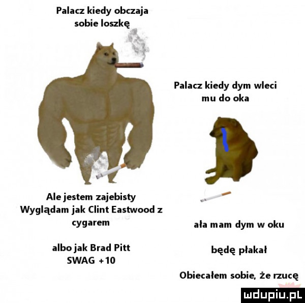 palau kiedy obuaja bae ioszkę i palacz kiedy dym wleci mu do oka ale jestem zajebisty. wyglądam jak clint eastwood z cygarem ila mam dym w oku albojak brad pitt będę plakal szag    obiecalem sobie że nutę