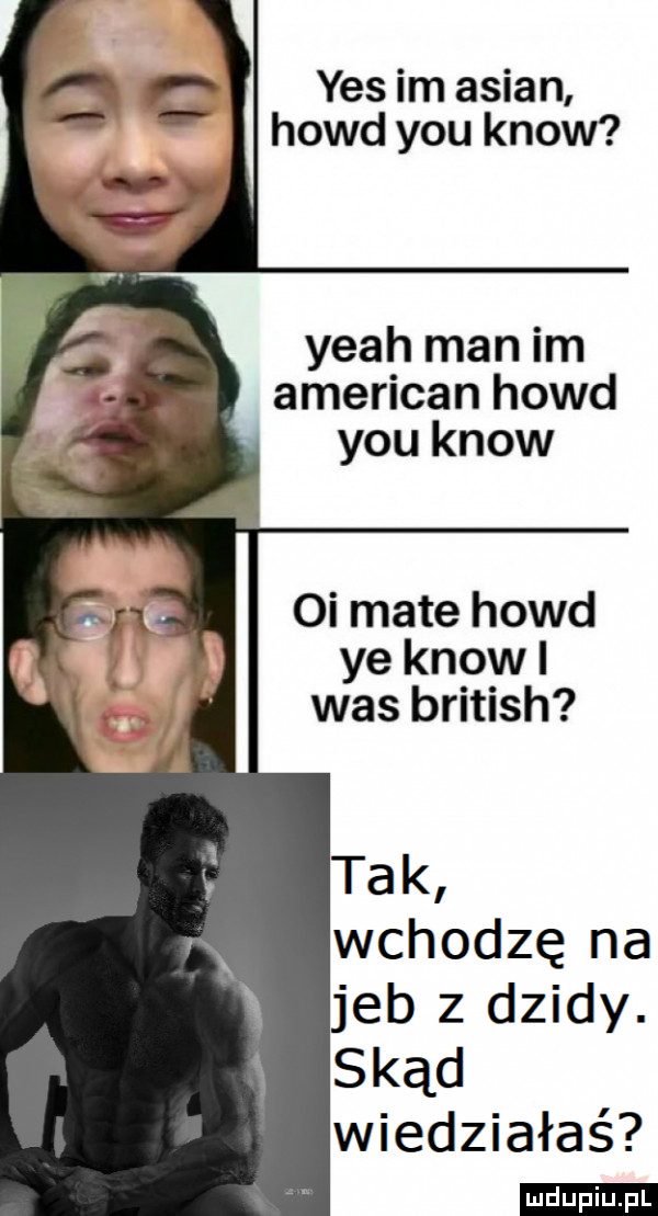 yes im anian hołd y-u know yeah man im american hołd y-u know oi mate hołd ye know i was british tak wchodzę na jeb z dzidy. skąd wiedziałaś