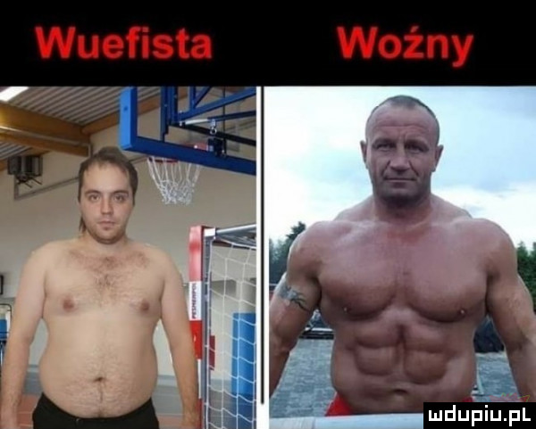 wueﬁsta woźny