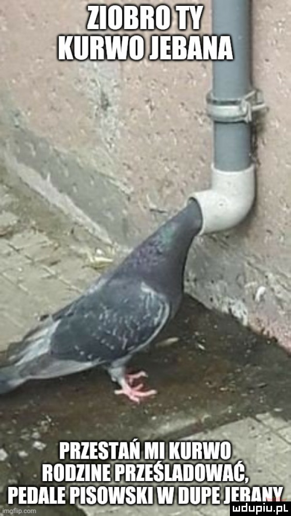 w biurze i iiies i ilii iii illiiiwli. iiiiiiziiie i iilesliiiiiiwaii peiiiile i isiiiiisiii iii illll eileiłllly ludupiu. pl