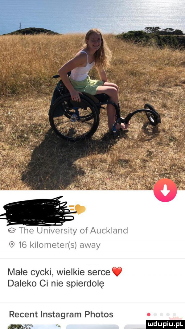 tee unive isnty of auckland    kilometcr s away małe cycki wielkie sercev daleko ci nie spierdolę regent instagram phobos