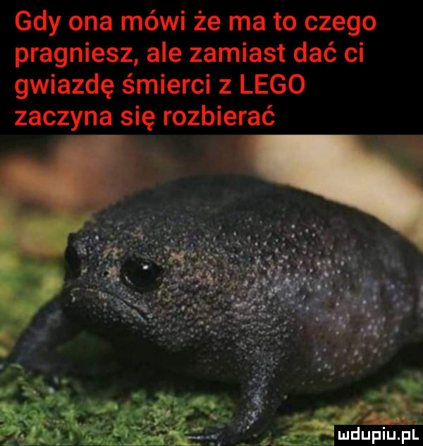 gdy ona mówi że ma to czego pragniesz ale zamiast dać ci gwiazdę śmierci   lego zaczyna się rozbierać