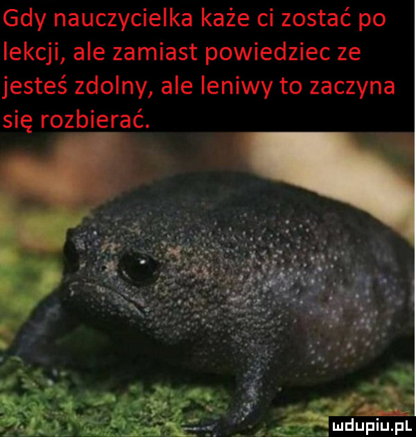 gdy nauczycielka każe ci zostać po lekcji ale zamiast powiedziec ze jesteś zdolny ale leniwy to zaczyna się rozbierać. abakankami. x mob