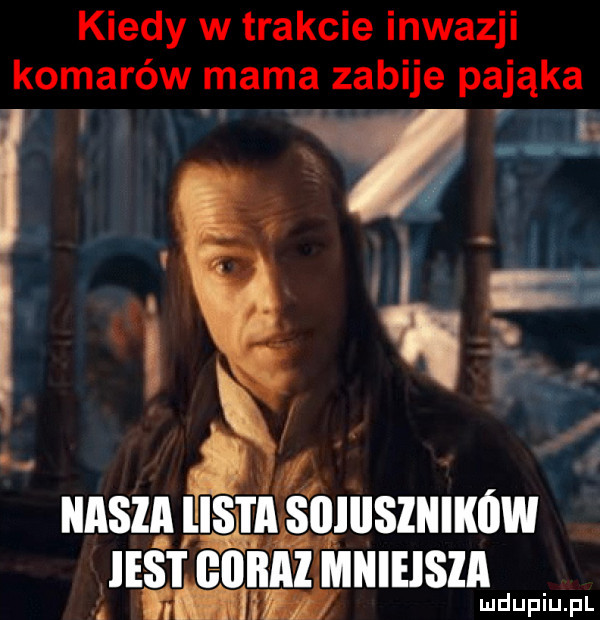 kiedy w trakcie inwazji komarow mama zabije pająka. van zj aluszmmw mniejsza