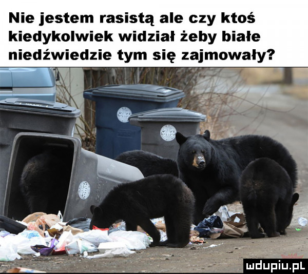 nie jestem rasistą ale czy ktoś kiedykolwiek widzial żeby biale