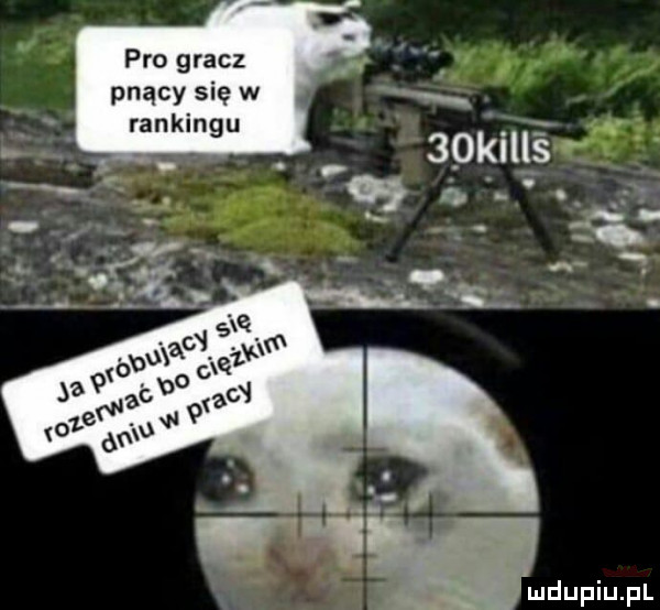 pro gracz pnący się w rankingu