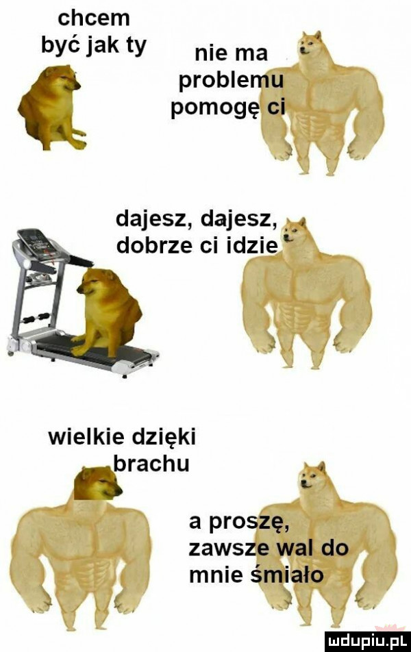 cycem byc jak ty nie ma problemu l. pomogę ci   a l dajesz dajesz dobrze ci idzie wielkie dzięki nprachu u a proszę zawsze wal do mnie śmiało. ł. ludu iu. l