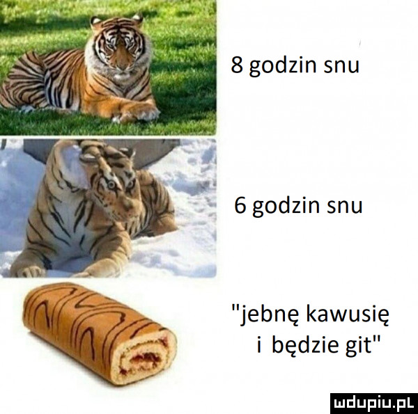 godzin snu   godzin snu jebnę kawusię i będzie git ludu iu. l
