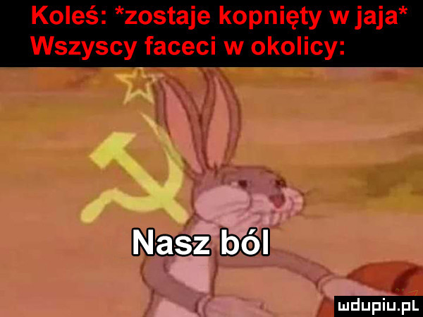 koleś zostaje kopnięty wpaja wszyscy faceci w okolicy maggi