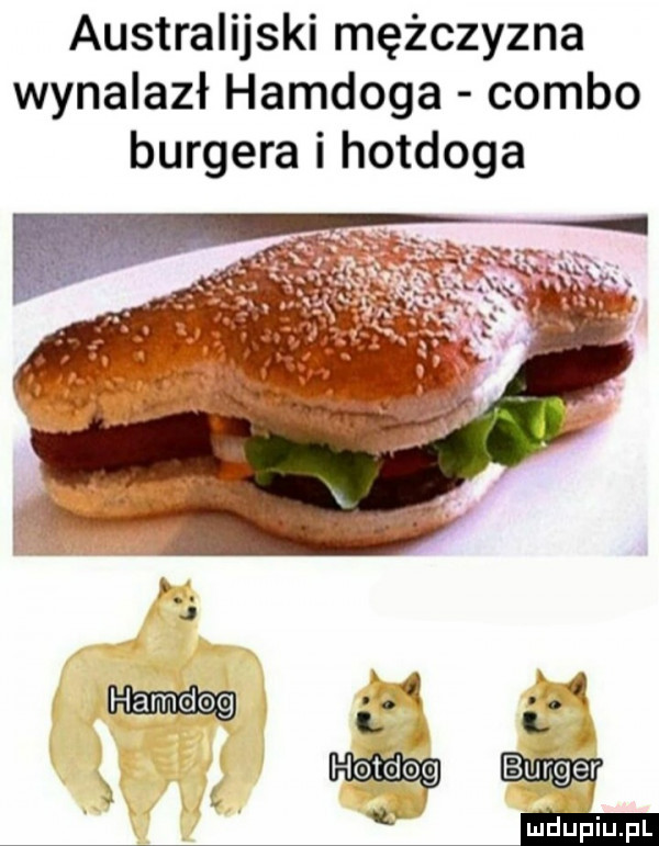 australijski mężczyzna wynalazł hamdoga combo burgera i hotdoga h d. abakankami q. q am og   ł