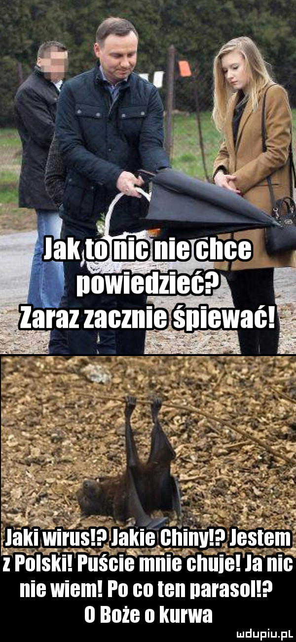 land wiiiisi. i i jestem m     l i ijisiiii puście miiib chili la iiig nie wiem fi    bai narasoll.   boże   kurwa