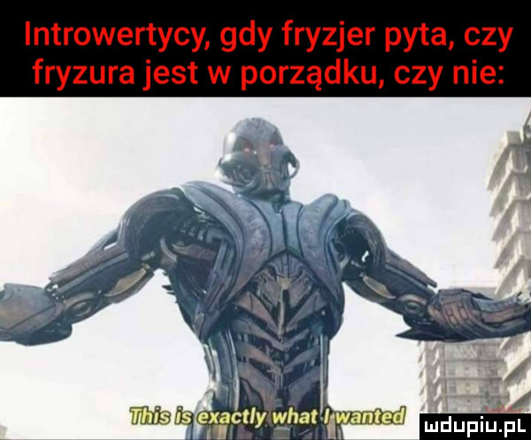 introwertycy gdy fryzjer pyta czy fryzura jest w porządku czy nie