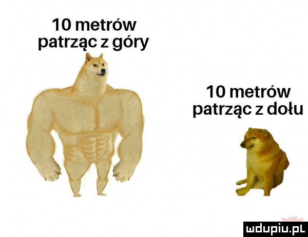 metrów patrząc z góry    metrów patrząc z dołu ludu iu. l