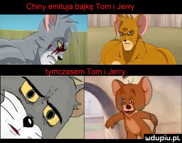 chiny emitula bajkę tom i jerry x