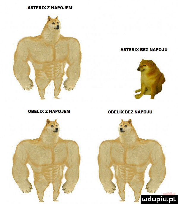 aermx z nai ne.    me na mai ow mu z maine    le m rumu