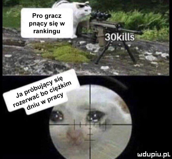 pro gracz pnący się w ranki gu    i ileś w źź