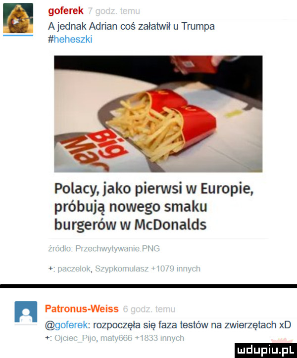 goferek ajednak adrian coś załatwii u trumpa heheszki polacy. jako pierwsi w eu ropie próbują nowego smaku burgerów w mcdonalds patronus weiss goferek rozpoczęła się faza testów na zwierzętach xd