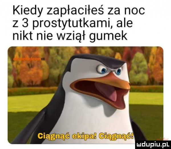 kiedy zapłaciłeś za noc z   prostytutkami ale nikt nie wziął gumek