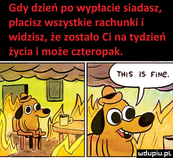 mdupiuźpl