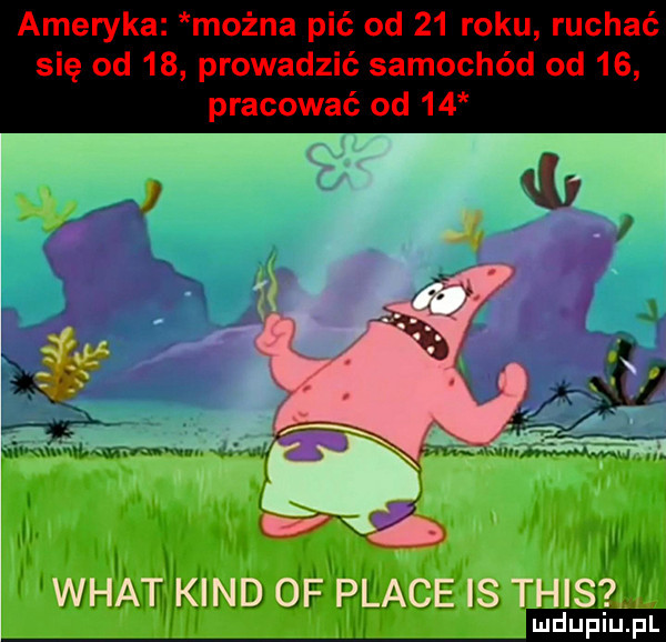 ameryka można pić od    roku ruchać się od    prowadzić samochód od    pracować od    w w wiat kand of place is tais