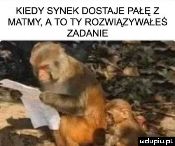 kiedy synek dostaje pałę z matmy. a to ty rozwiązywałeś zadanie
