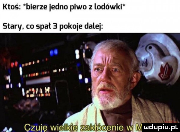 ktoś bierze iedno piwo z lodówki stary. co spat   pokoje dalii u czuję wie ie menie wmmdupiupl