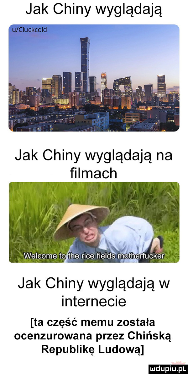 jak chiny wyglądają u cluckcold jak chiny wyglądają na filmach a welcome to theiricg fieldsmotherfucker jak chiny wyglądają w internecie ta część memu została ocenzurowana przez chińską republikę ludową ludu iu. l