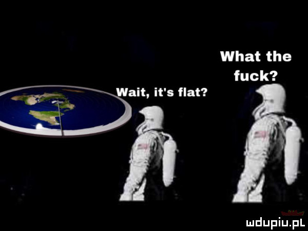 vvhatthe funk walt it s fiat