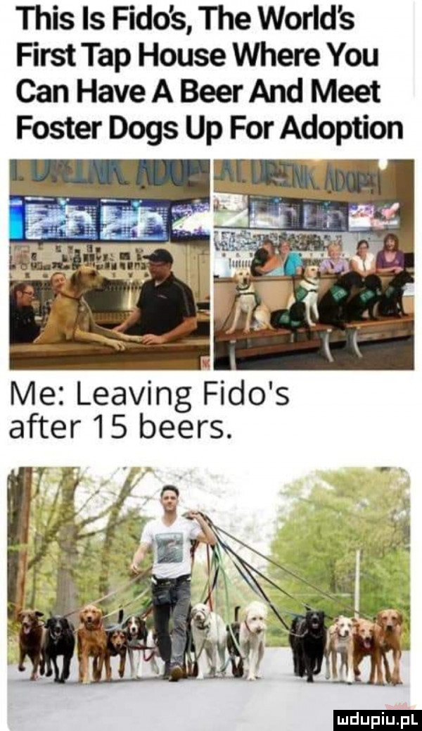 tais ls fado s    e wored s fiest tap house where y-u cen hace a bler and meet me leasing ido s after    beers