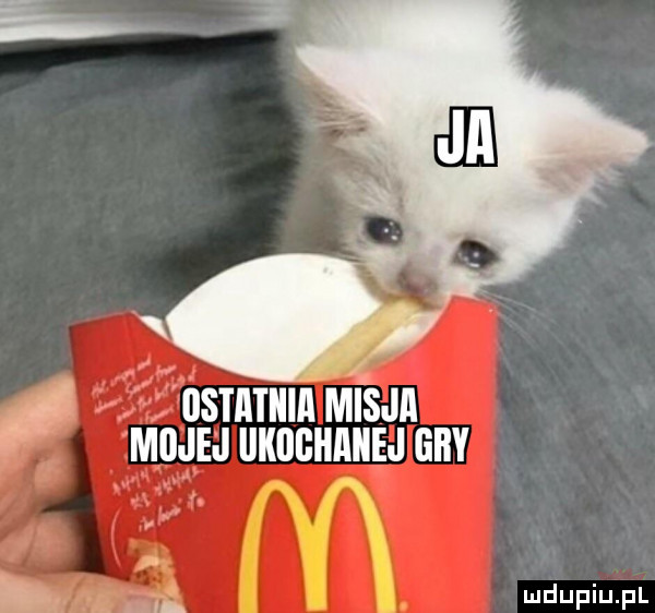 ostatnia misja mojej kuchnie l gry
