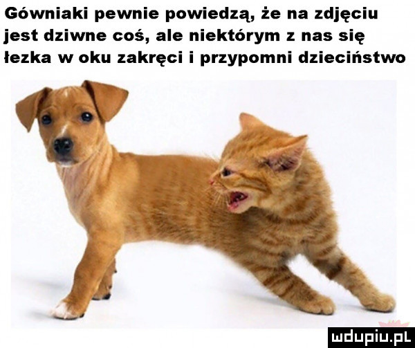 górniaki pewnie powiedzą że na zdjęciu jest dziwne coś ale niektórym z nas się lezka w oku zakręci i przypomni dzieciństwo ludu iu. l