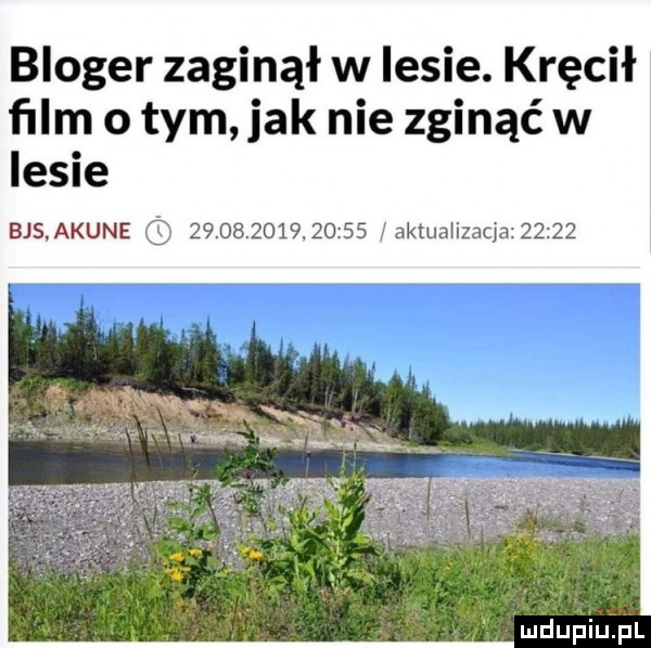 bloger zaginął w lesie. kręcił ﬁlm   tym jak nie zginąć w lesie b s akune                 aktualizacja
