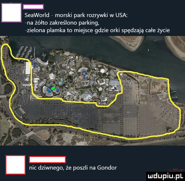 seaworid morskl park rozrywki w usa rna żółto zakreślono parking zielona plamka to miejsce gdule om spędzają całe życie. nic dziwnego że poszli na gondor