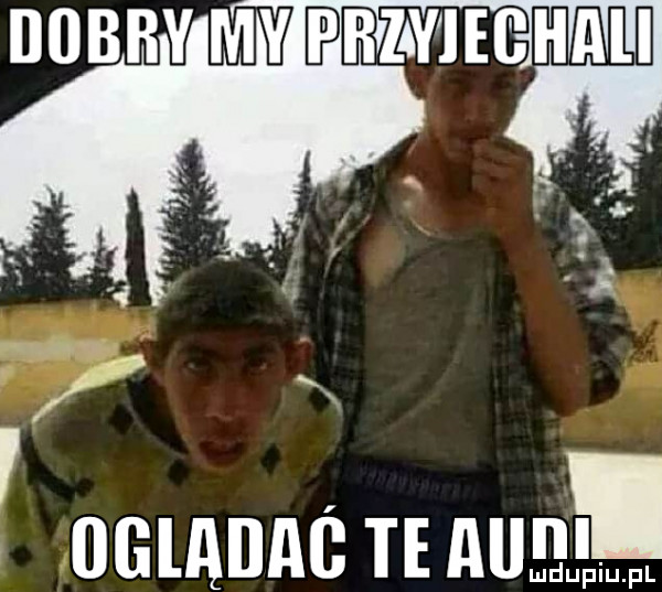 immune te all