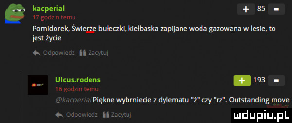 kazyuial    w godom w anidorek śnieg mumia kiełbaska lapiiane woda gazuwena w lesie pest zycie. vhv l ulcusjodens.     wógodzwuemn. rpięknewyhmledezdylemim razy rf  mslandlug mw. jx k n