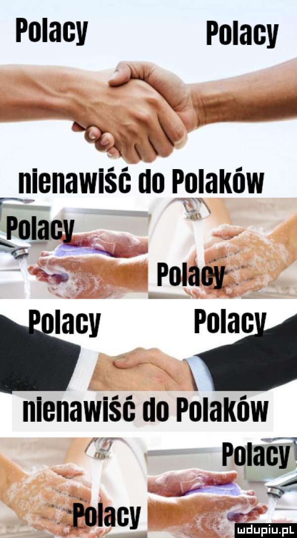polacy polacy r nienawiść do polaków rewel i  . poległ ww polach anmmmmm pulatﬁii i. xéeolacm am