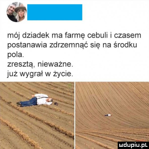 iii mój dziadek ma farmę cebuli i czasem postanawia zdrzemnąć się na środku pola. zresztą nieważne. już wygrał w życie