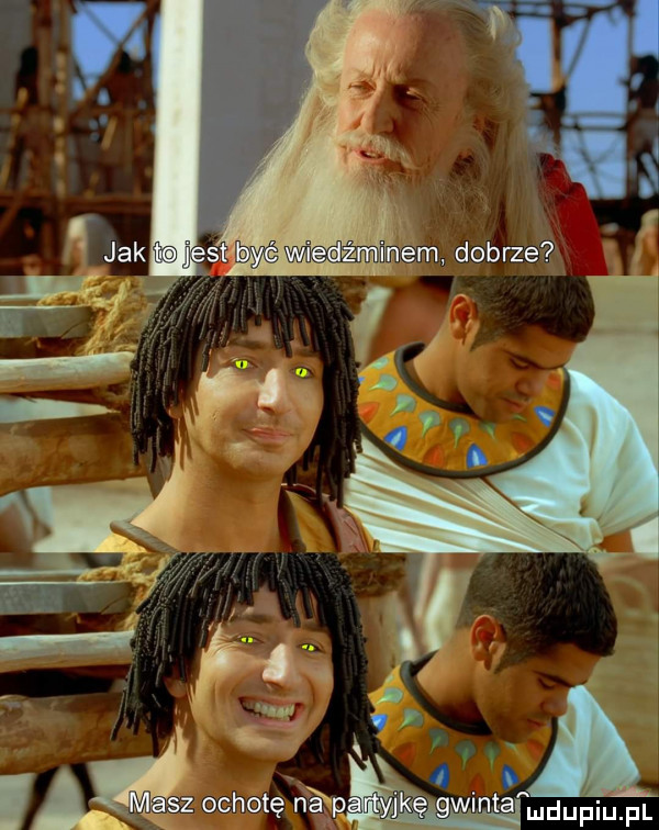 duciu pl