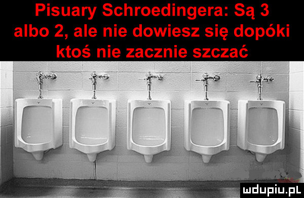 pisuary schroedingera są   albo   ale nie dowiesz się dopóki ktoś nie zacznie szczać mdupi u l