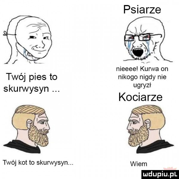 psiarze nieeee kurwa on twój pies to nikogo nigdy nie skurwysyn   kociarze twój kot to skurwysyn. wiem ludu iu. l