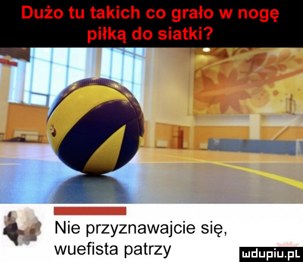 dużo tu takich co grało w nogę piłką do siatki. nie przyznawajcie się wuefista patrzy