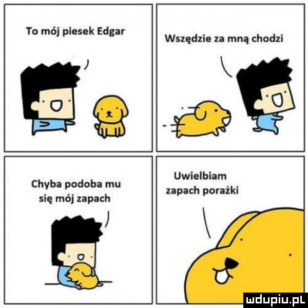to mó piesek edgar   s wszędzie za mną chodzi uwielbiam zapach porażki chyba podoba mu się mój zapach