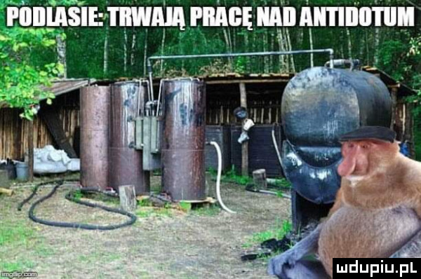 em ilia rnhcę lian imminiil v