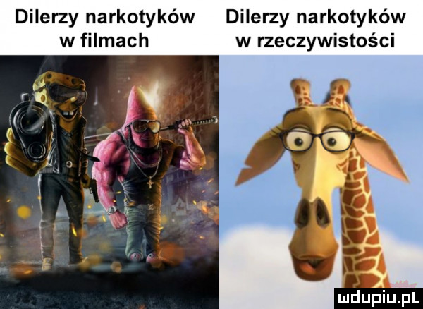 dilerzy narkotyków dilerzy narkotyków w filmach w rzeczywistości