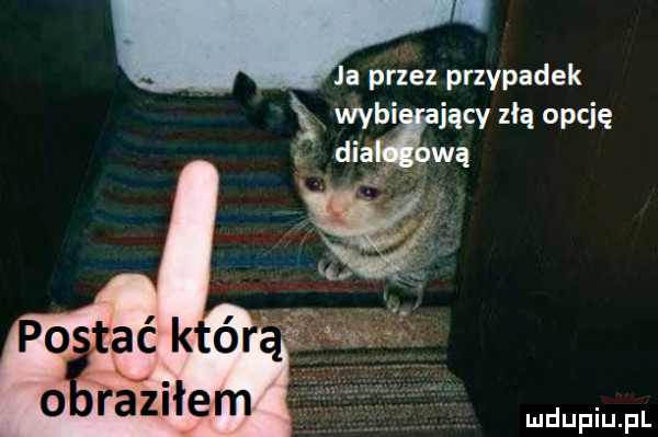 ja przez przypadek. wabi iącv złą omit o azizem