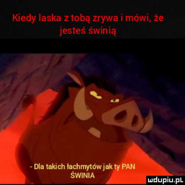 kiedy laska z tobą zrywki mówi że jesteś świnię q unum amor v swoim mdupiu i it