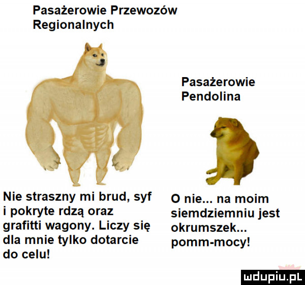 pasażerowie przewozów regionalnych pasażerowie pendolina nie straszny mi brud syf o nie. na moim i pokryte rdzą oraz siemdziemniu jest graﬁtti whqohy liczy sie okrumszek. dla mnie tylko dotarcie poem mocy do celu