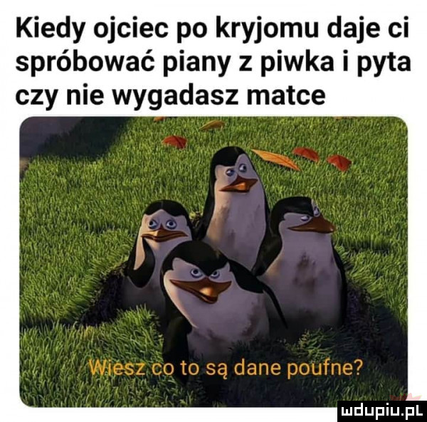 kiedy ojciec po kryjomu daje ci spróbować piany z piwka i pyta czy nie wygadasz matce